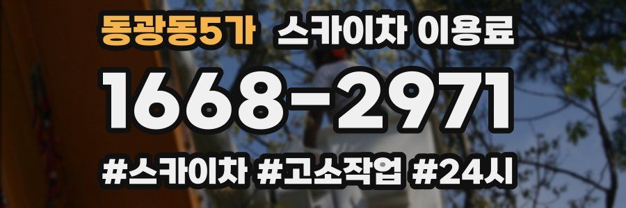 동광동5가 스카이차 이용료