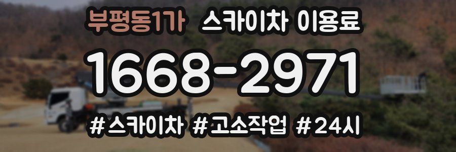 부평동1가 스카이차 이용료