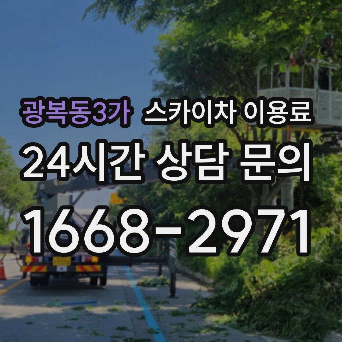 광복동3가 스카이차 이용료