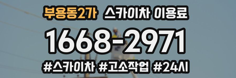 부용동2가 스카이차 이용료