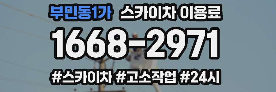 부민동1가 스카이차 이용료