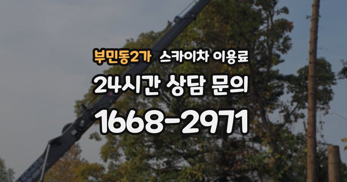 부민동2가 스카이차 이용료