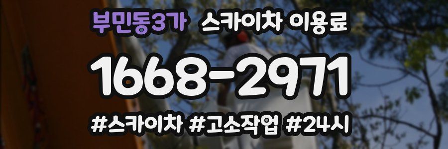 부민동3가 스카이차 이용료