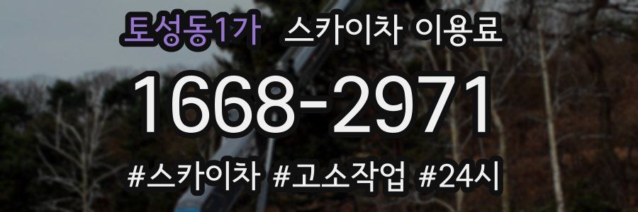 토성동1가 스카이차 이용료