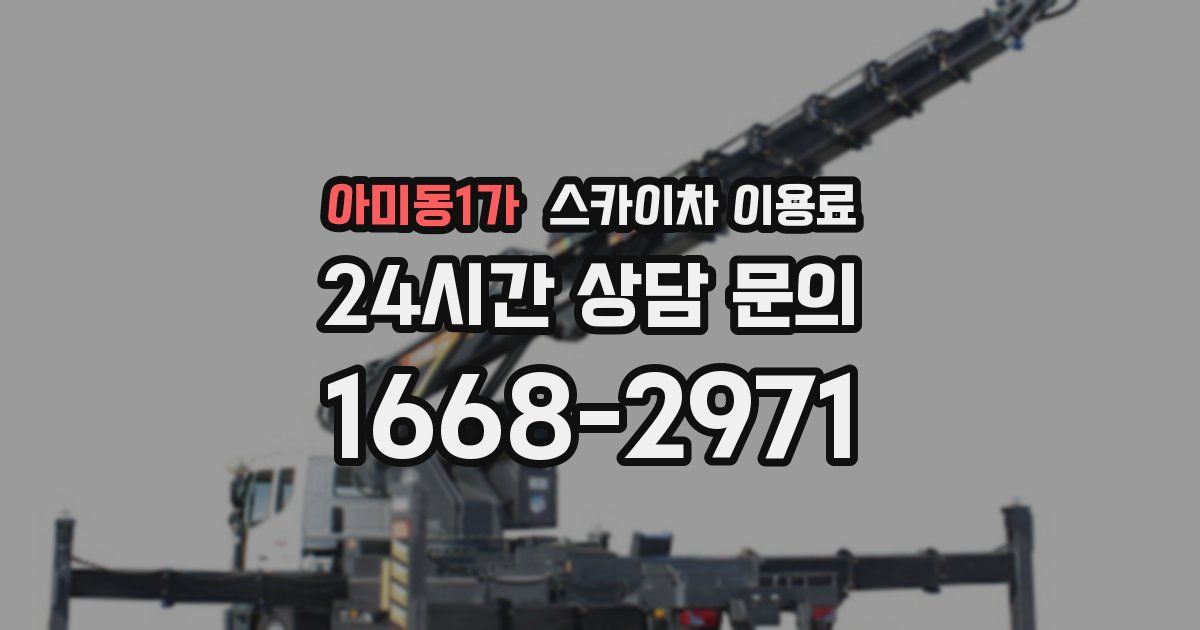 아미동1가 스카이차 이용료