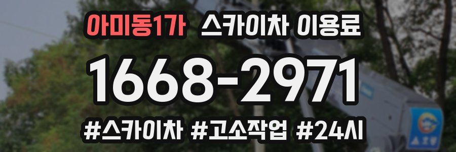 아미동1가 스카이차 이용료