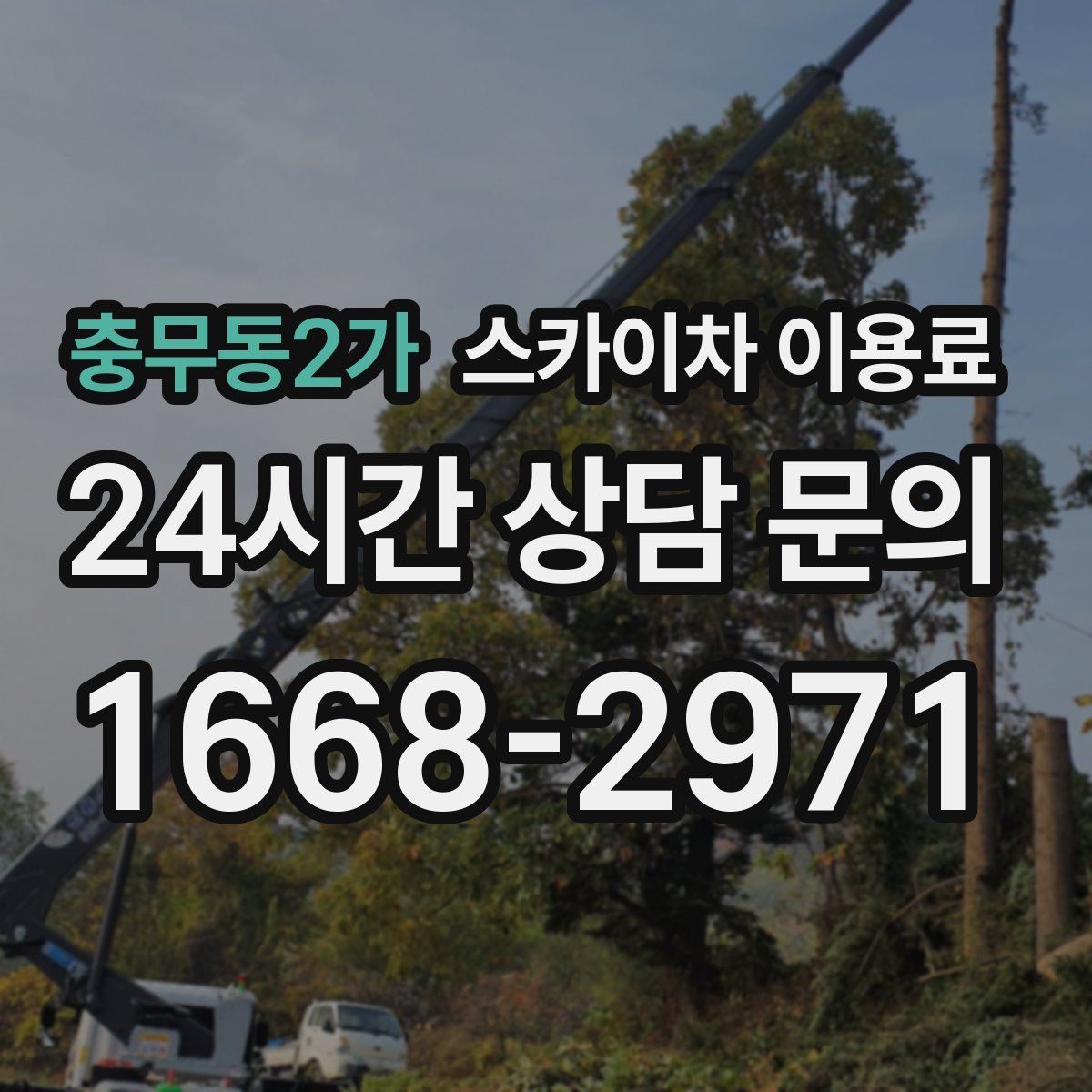 충무동2가 스카이차 이용료