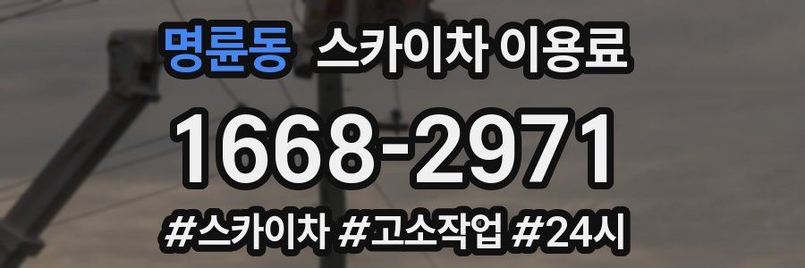 명륜동 스카이차 이용료