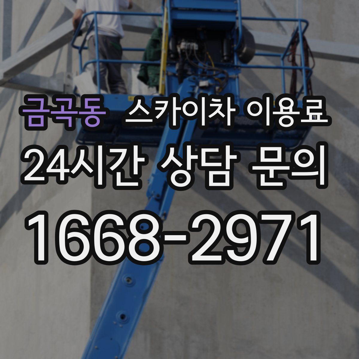 금곡동 스카이차 이용료