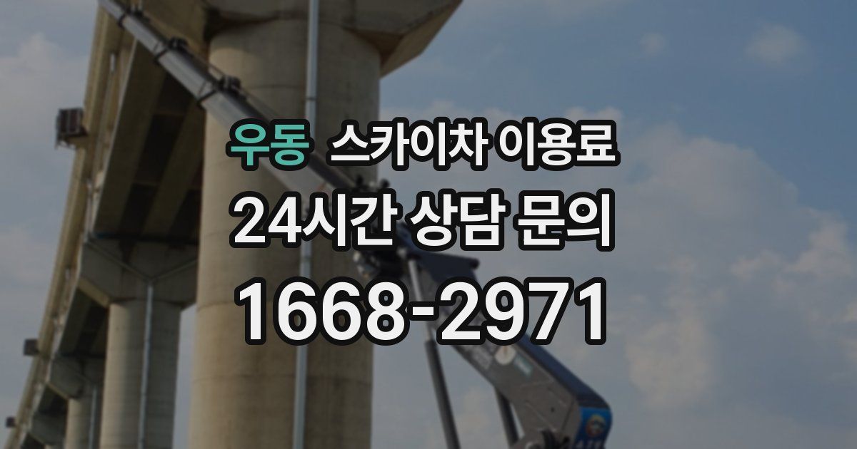 우동 스카이차 이용료