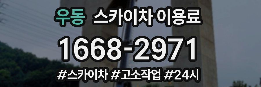 우동 스카이차 이용료