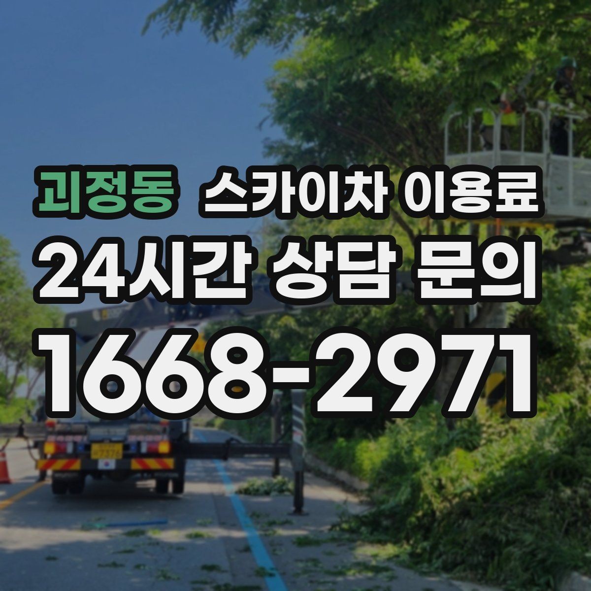 괴정동 스카이차 이용료 산정 방식과 포함 항목