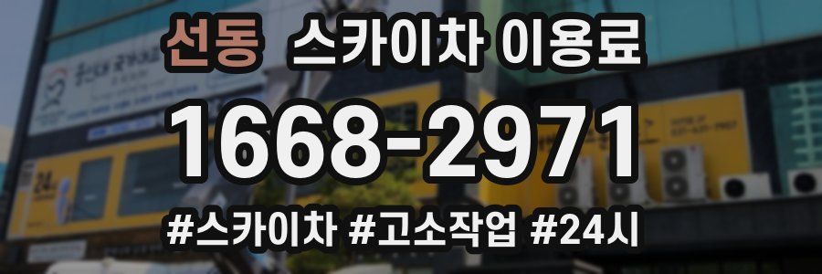 선동 스카이차 이용료