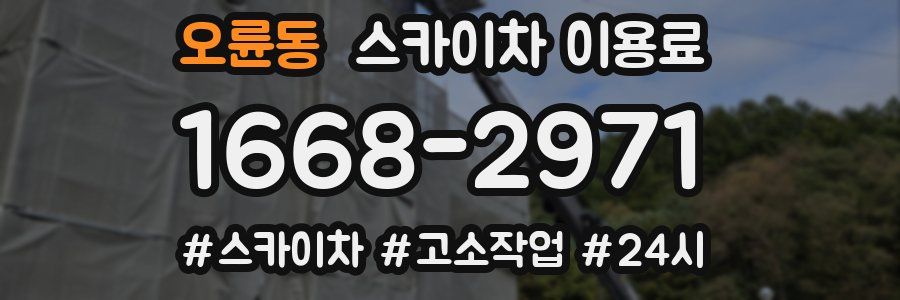 오륜동 스카이차 이용료