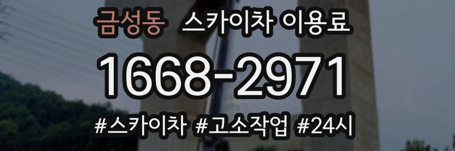 금성동 스카이차 이용료