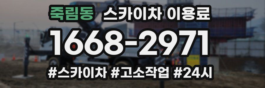 죽림동 스카이차 이용료
