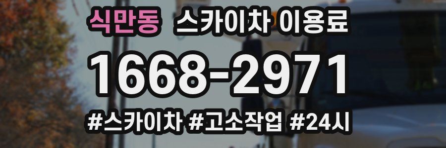 식만동 스카이차 이용료