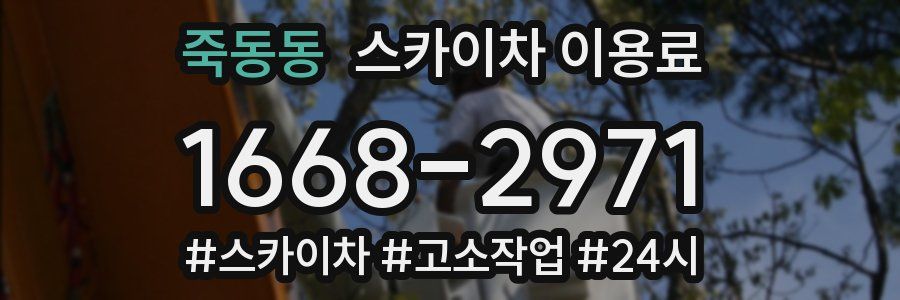죽동동 스카이차 이용료