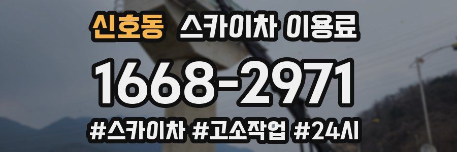 신호동 스카이차 이용료