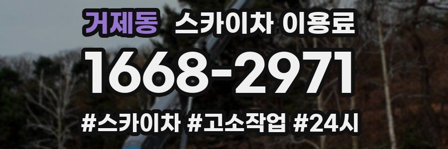 거제동 스카이차 이용료