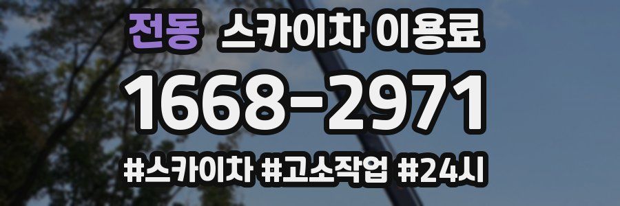 전동 스카이차 이용료