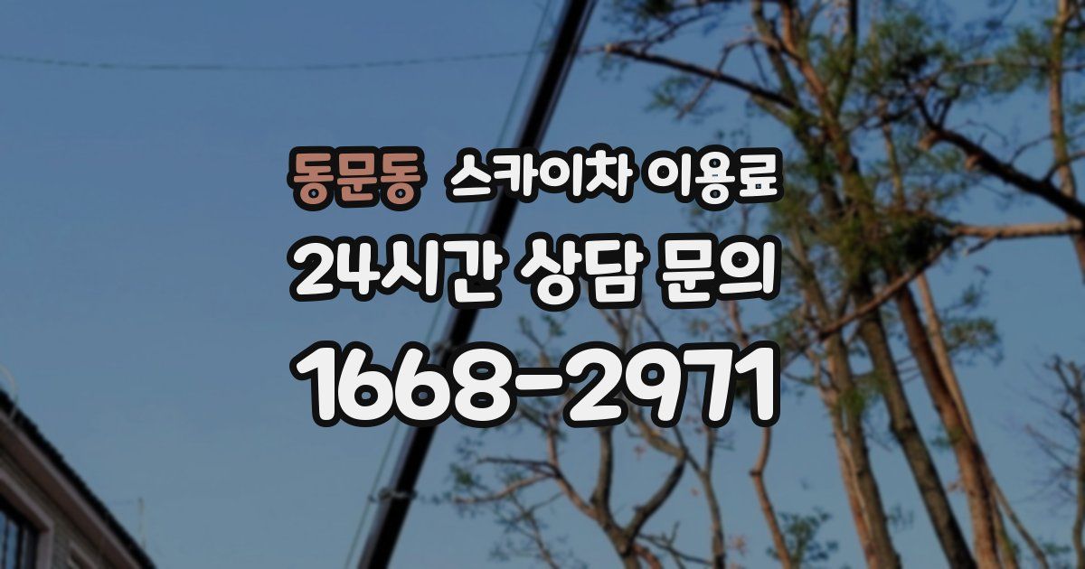 동문동 스카이차 이용료
