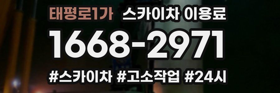 태평로1가 스카이차 이용료