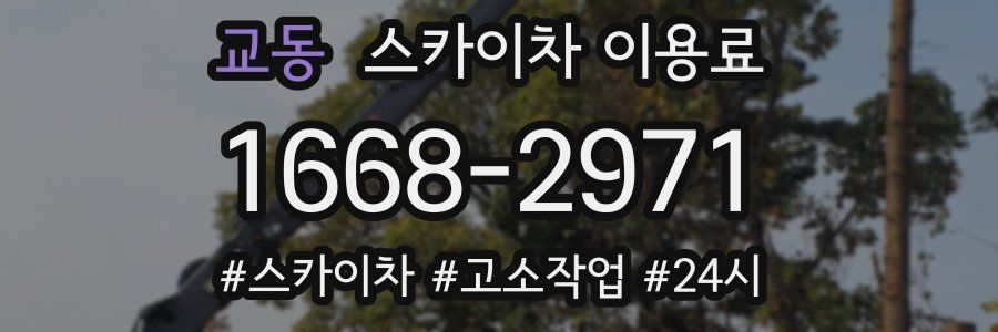 교동 스카이차 이용료