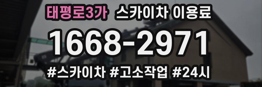 태평로3가 스카이차 이용료