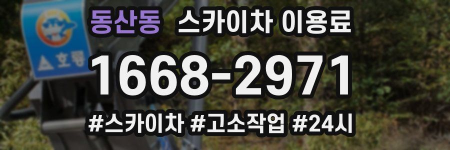 동산동 스카이차 이용료