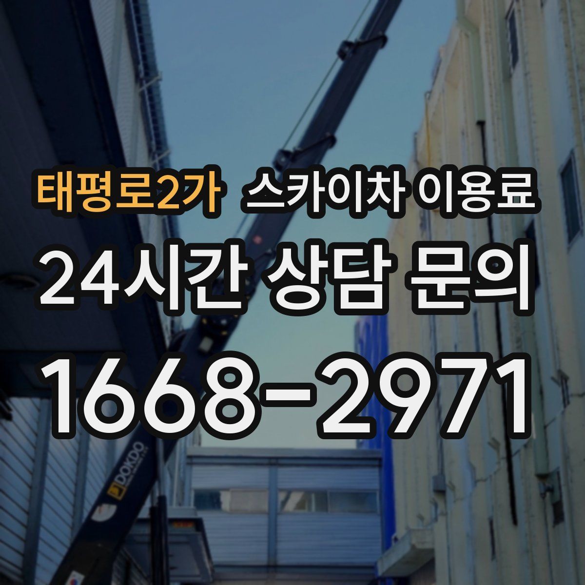 태평로2가 스카이차 이용료