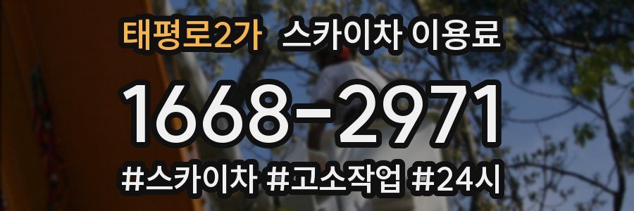 태평로2가 스카이차 이용료