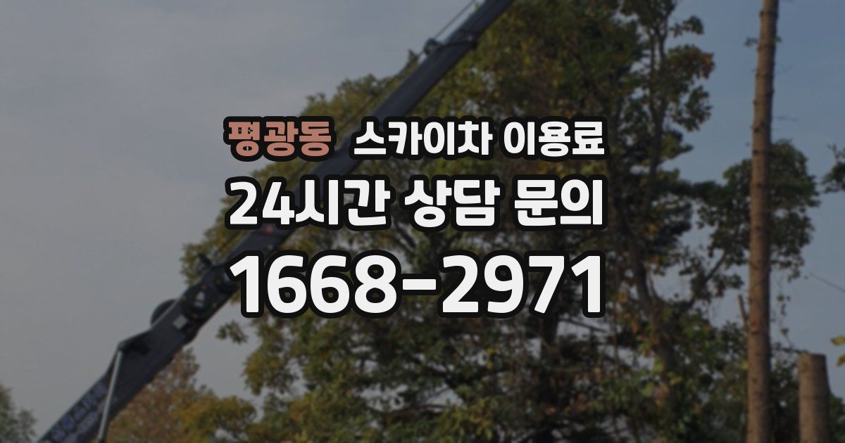 평광동 스카이차 이용료