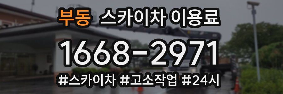 부동 스카이차 이용료