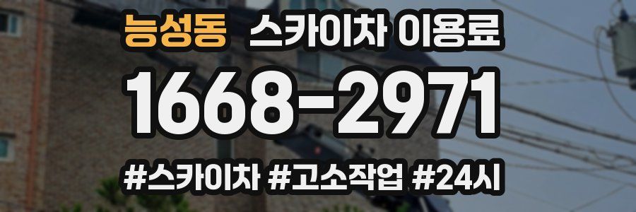능성동 스카이차 이용료