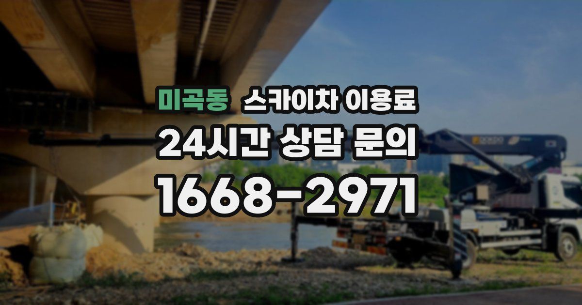 미곡동 스카이차 이용료