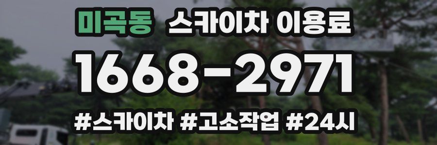 미곡동 스카이차 이용료