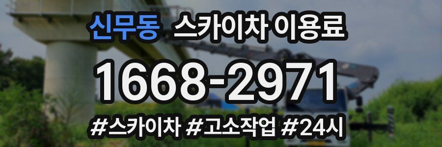 신무동 스카이차 이용료