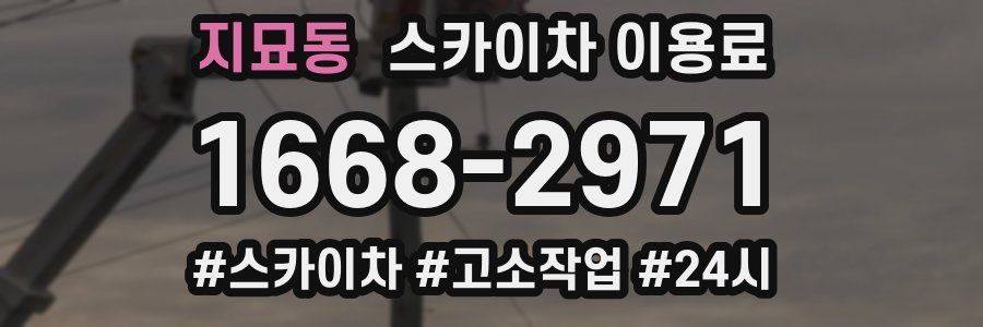 지묘동 스카이차 이용료