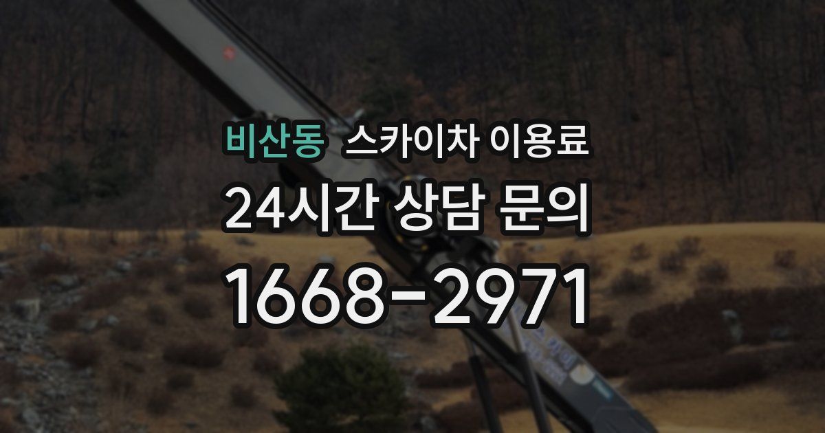 비산동 스카이차 이용료