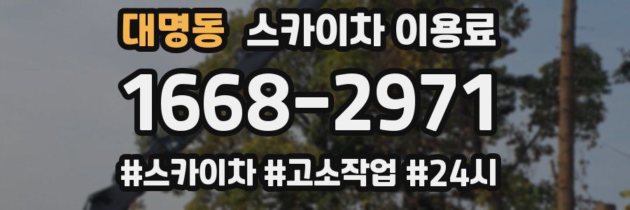 대명동 스카이차 이용료