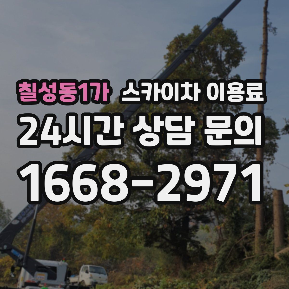 칠성동1가 스카이차 이용료