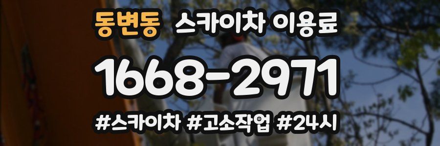 동변동 스카이차 이용료
