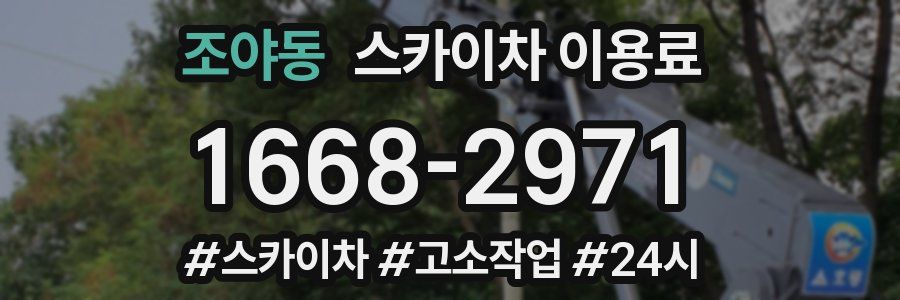 조야동 스카이차 이용료