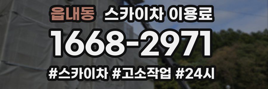 읍내동 스카이차 이용료