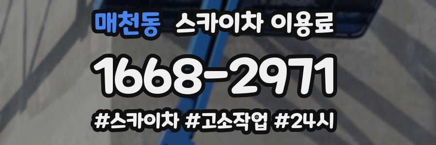 매천동 스카이차 이용료