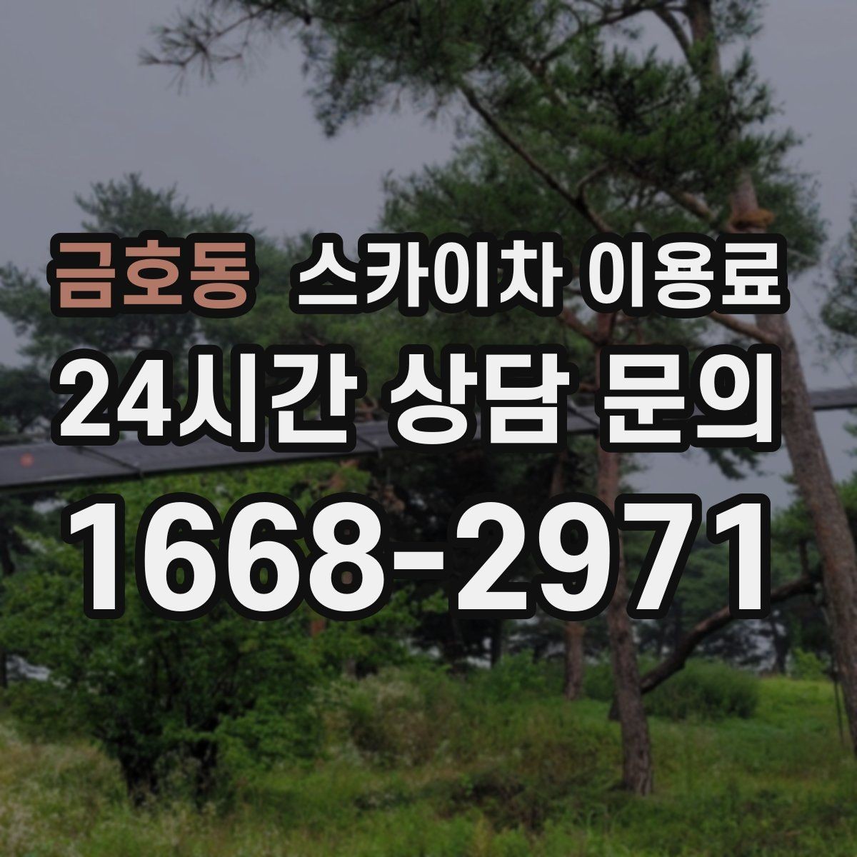 금호동 스카이차 이용료 상담 후 바로 확인할 사항