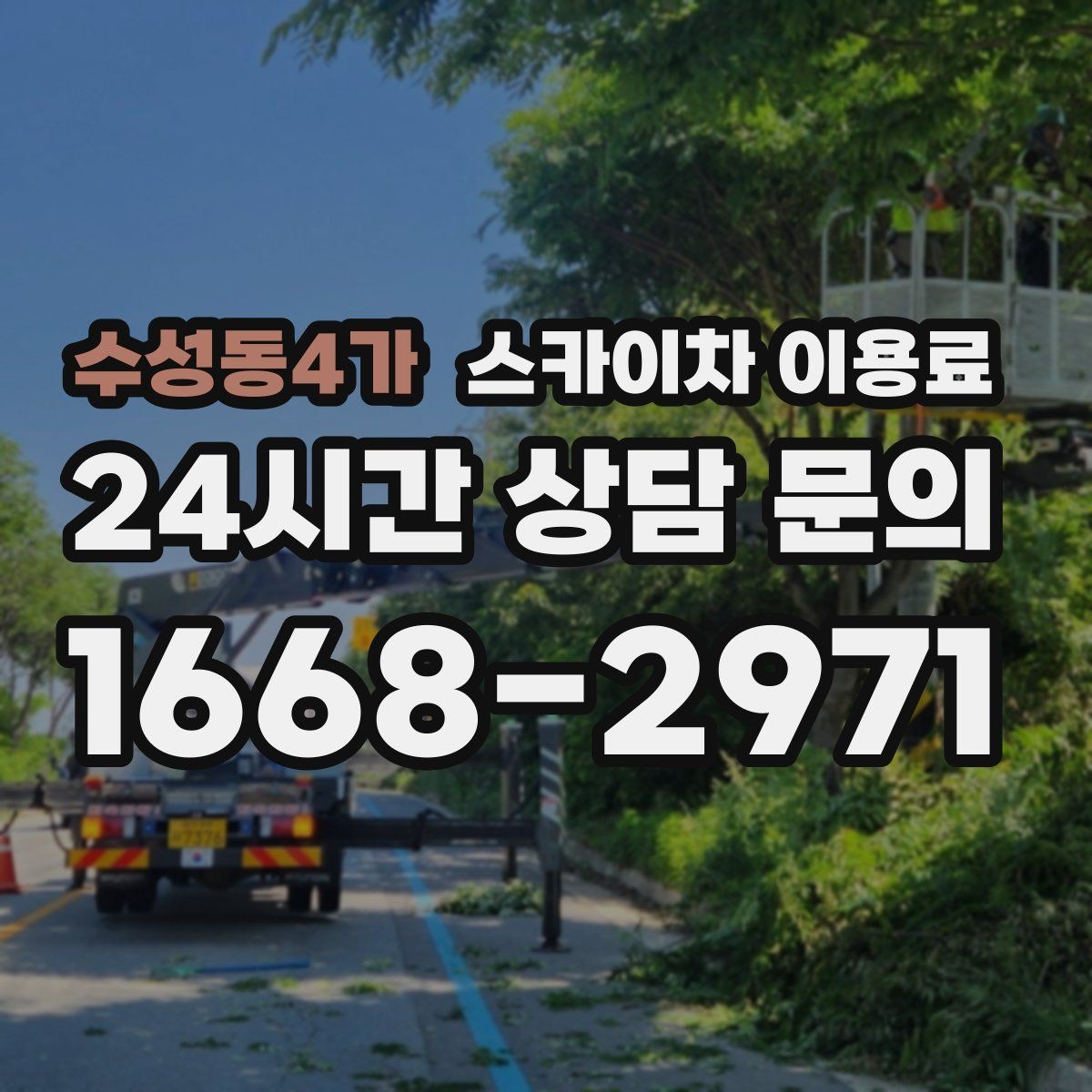 수성동4가 스카이차 이용료 비교 후 선택하는 요령