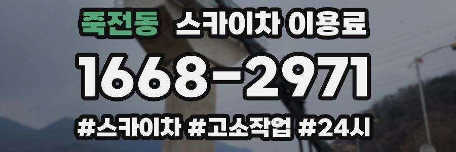 죽전동 스카이차 이용료