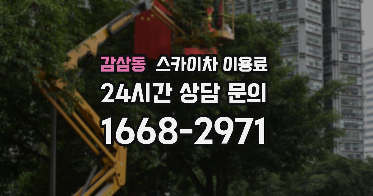 감삼동 스카이차 이용료